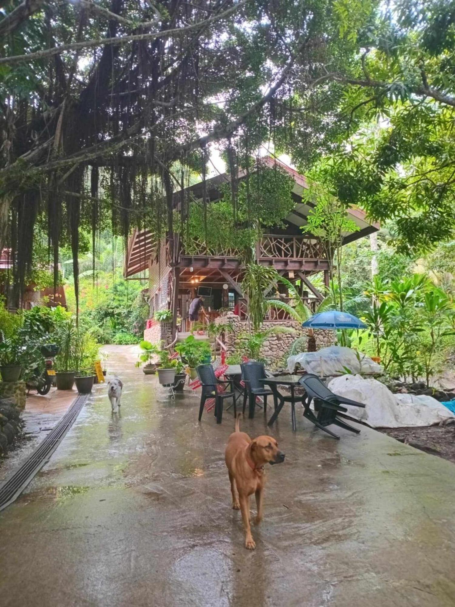 Hotel Haere Mai I Te Fare à Teavaro Extérieur photo